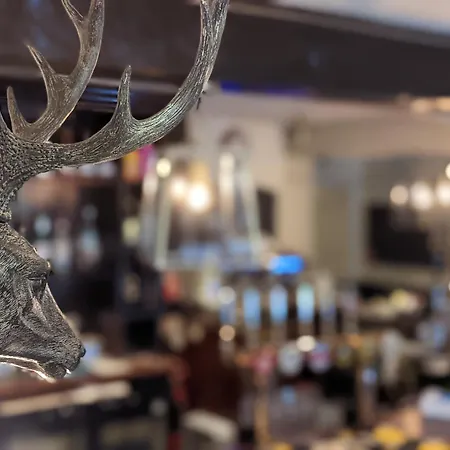 The Buck Inn Great Ayton