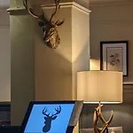 The Buck * غريت آيتون