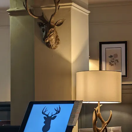 The Buck * Great Ayton