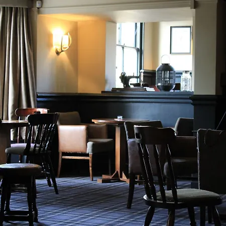 The Buck * グレート・アイトン