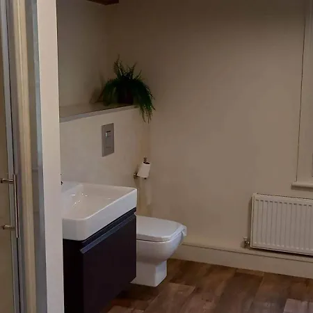 The Buck Han/Misafirhane *