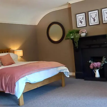 Han/Misafirhane The Buck *